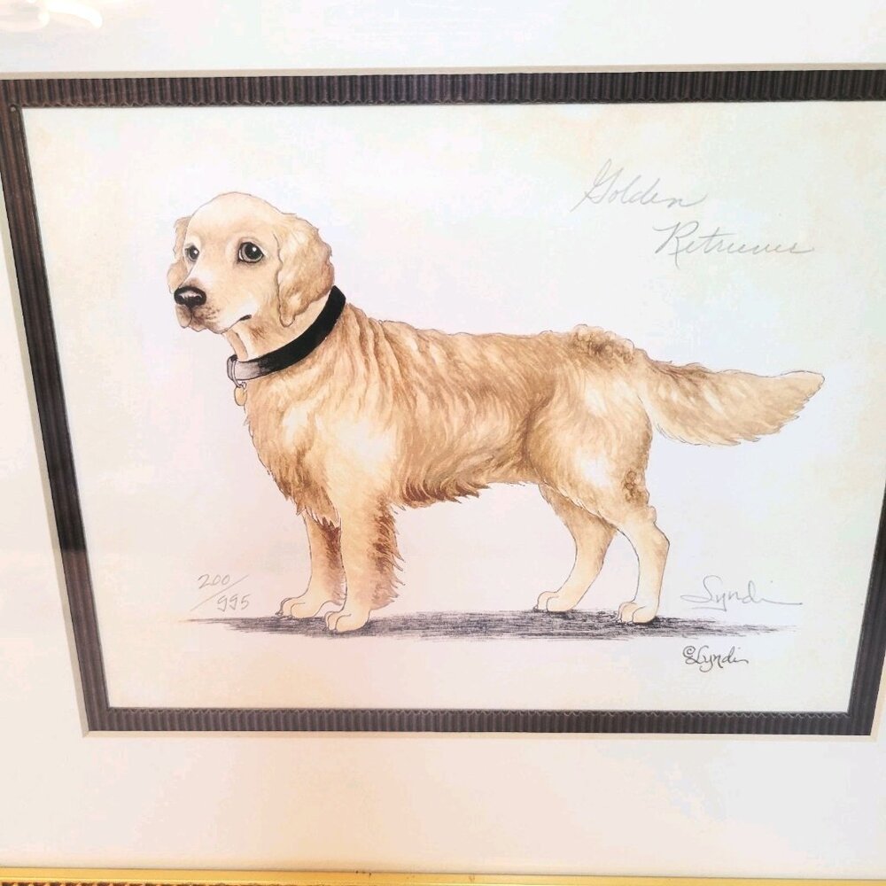 Vtg Numbered Artist Signed Framed Portrait Golden Retriever Puppy Dog Art Print